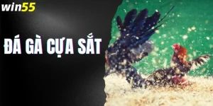 Đá Gà Cựa Sắt